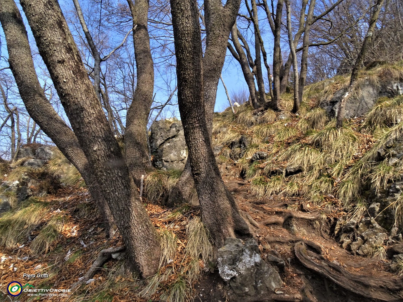 57 In decisa salita per cima Monte Zucco.JPG